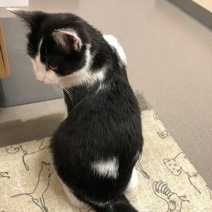 Meet your Posher, Pam